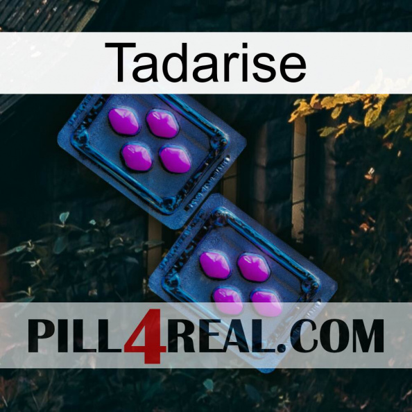 Tadarise 03.jpg